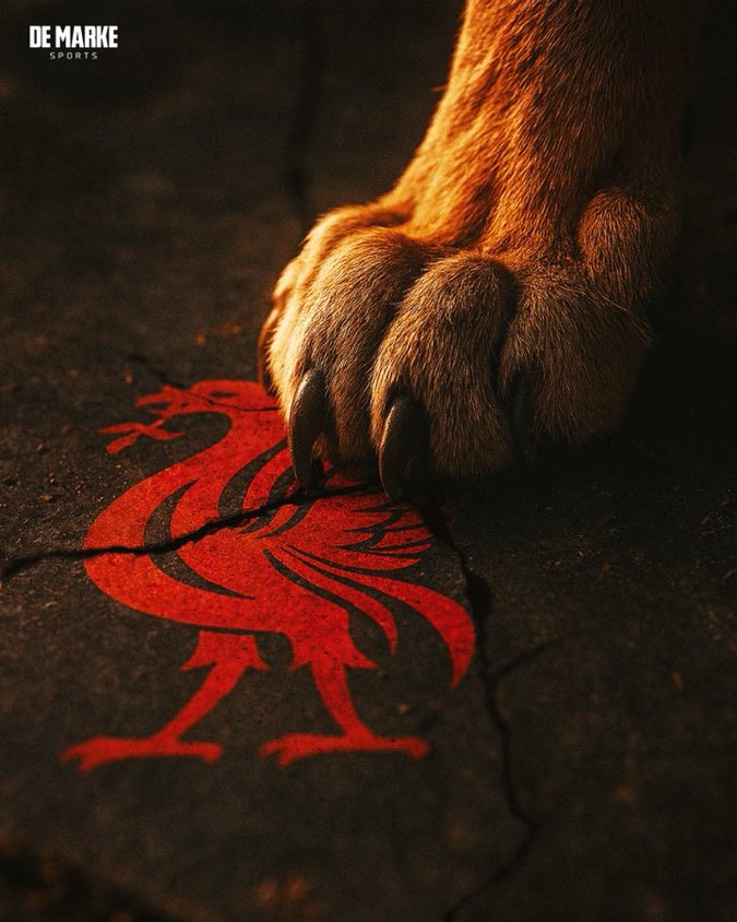 WE ARE THE BEST GALATASARAY

Galatasaray - Liverpool #GSvLIV #UCL