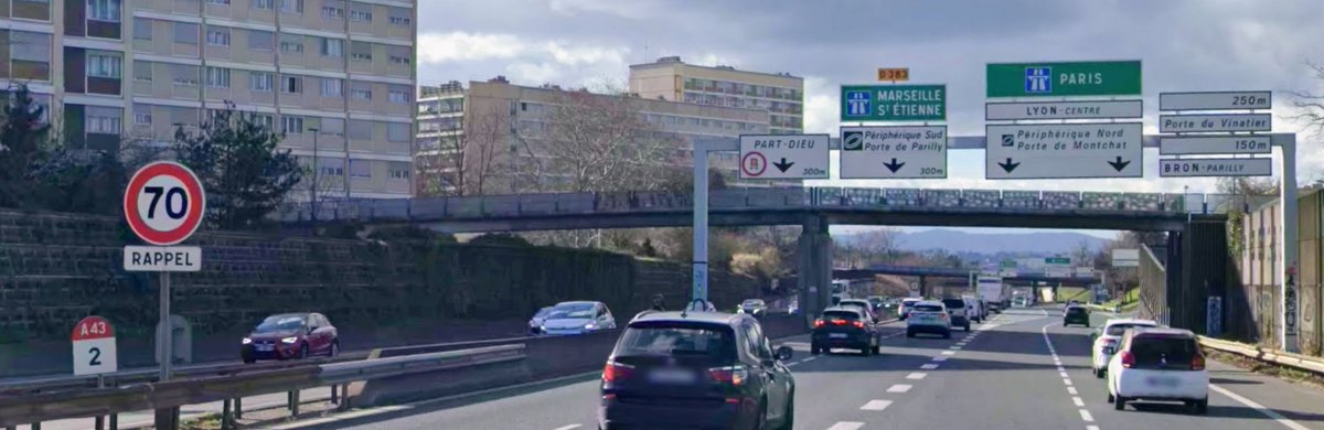 Avadea 🏳️‍⚧️🦦 tweet media