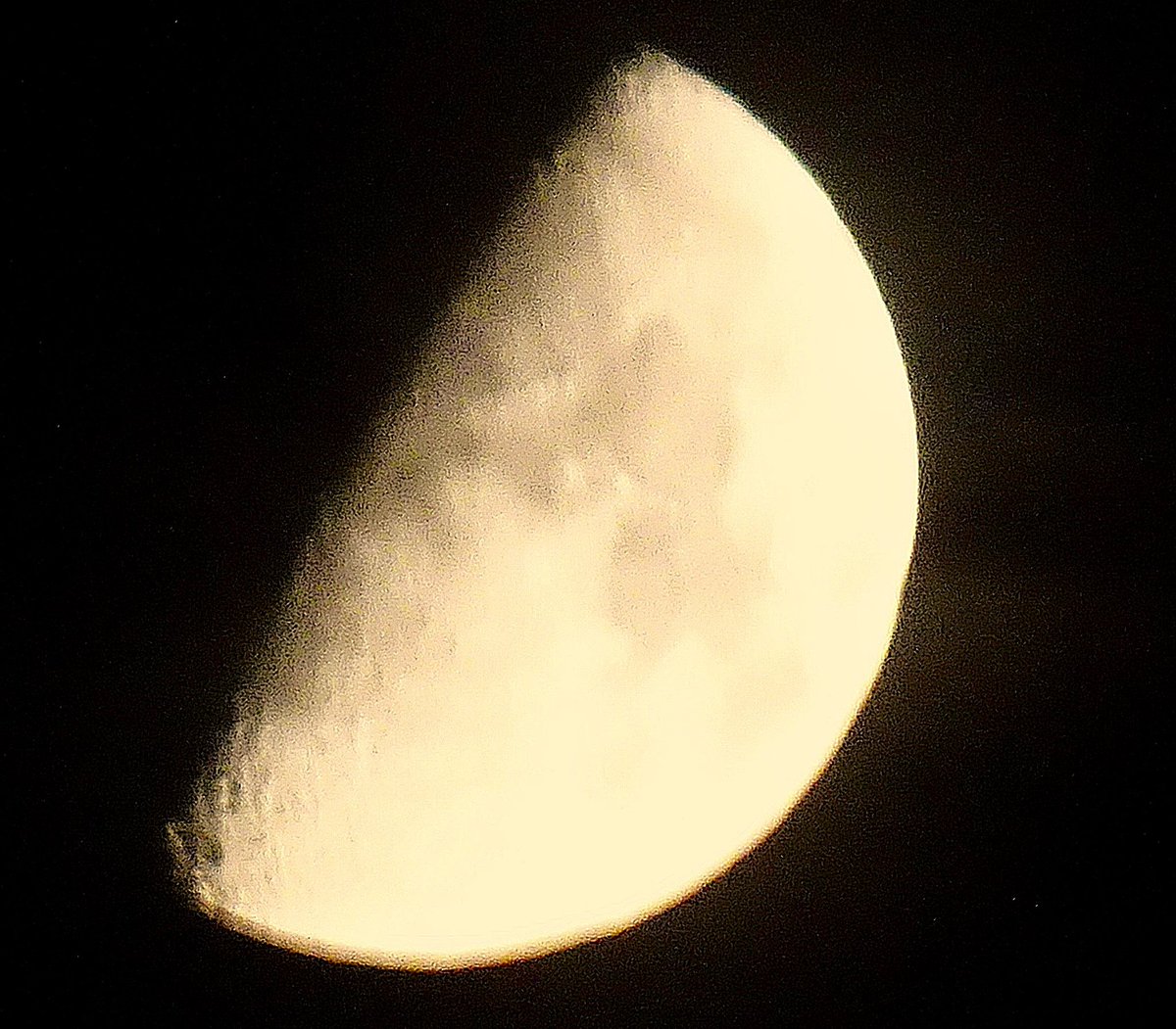 Sue Pleb Leam tweet media