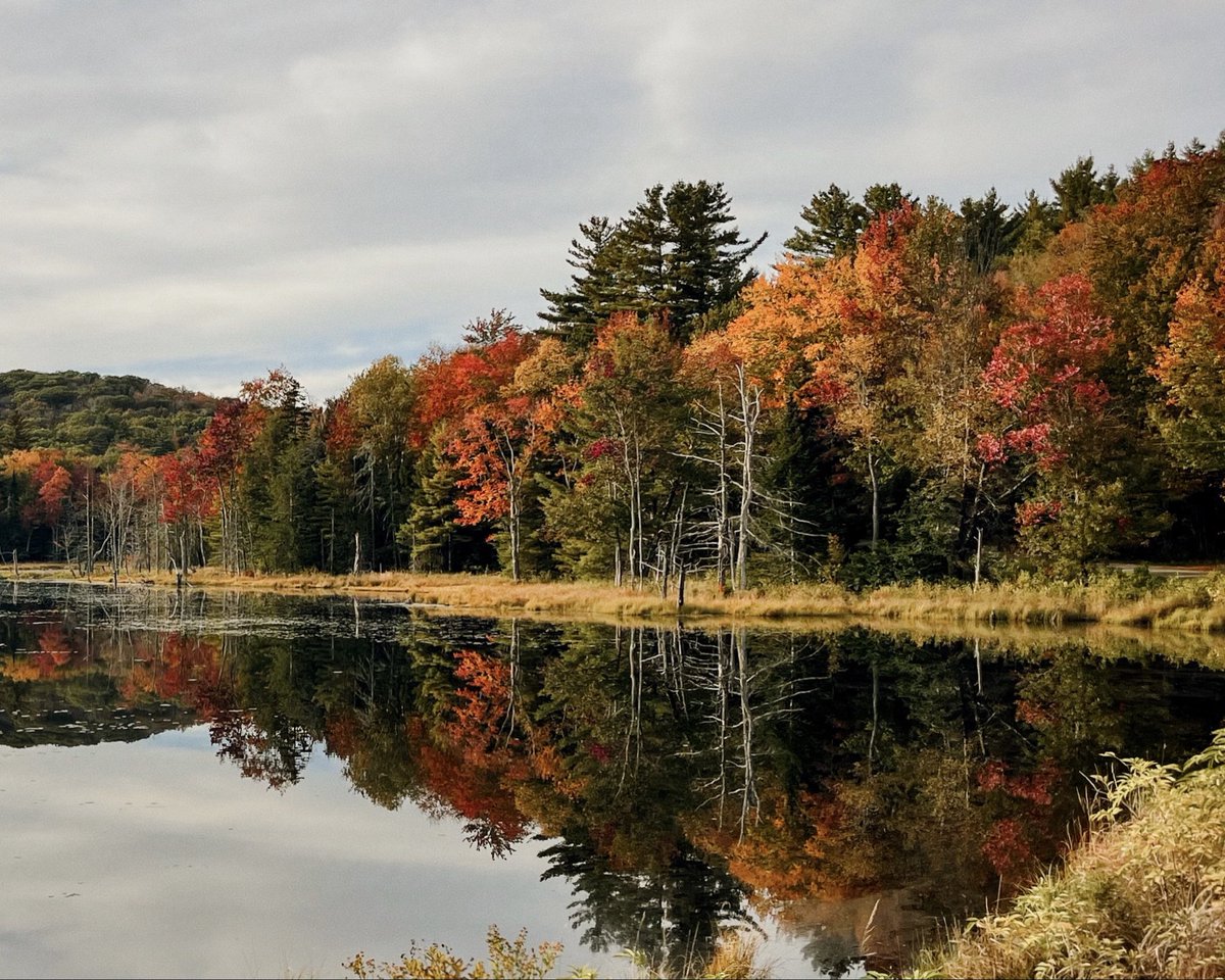 Ariana Elena Castillo tweet media