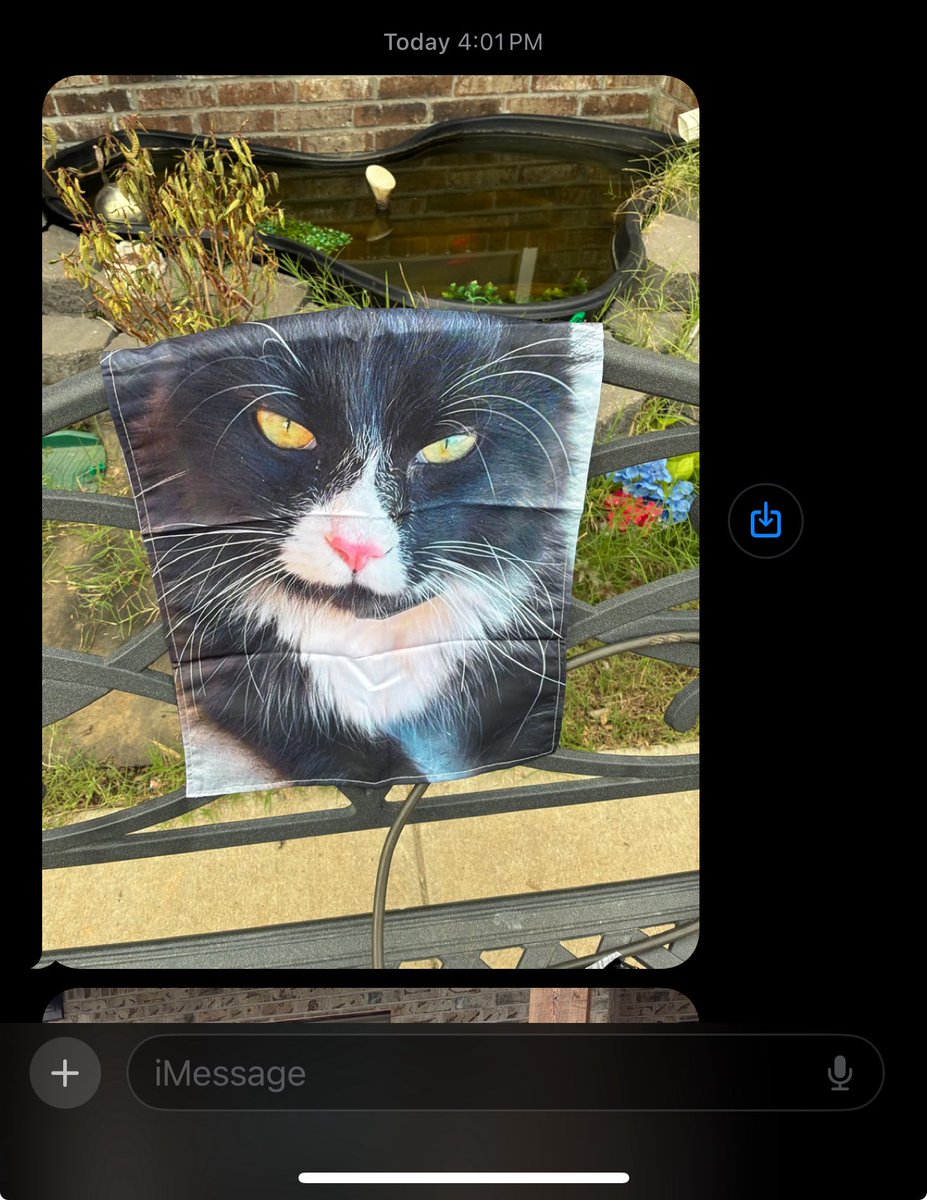 My mom came over to my house and put up this menacing picture of my cat in my front yard

I fkn cannot rn 🤣🤣🤣