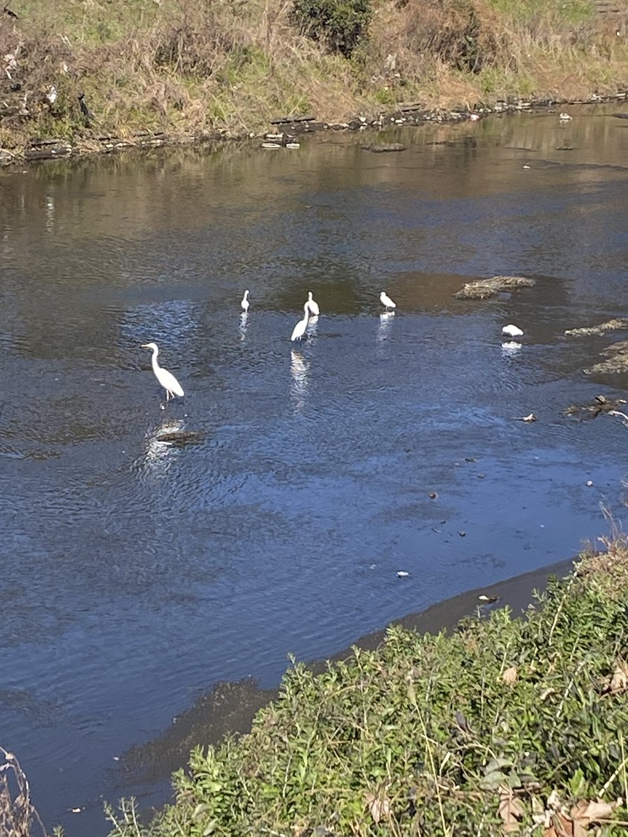 昨日も会社帰りに平塚駅から総合公園１周３０分ｊｏｇ。しばらくは、
ぼちぼちが続きます🤣