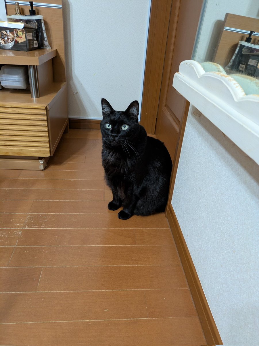 ちーちゃん (@3tQy5nQ8gE0xzcG) / Posts / X