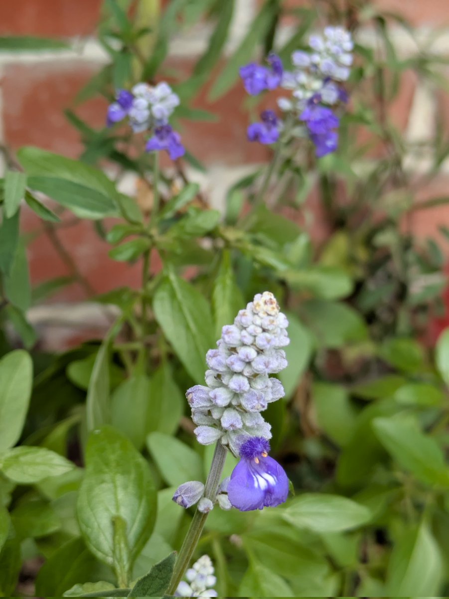 ちーちゃん (@3tQy5nQ8gE0xzcG) / Posts / X