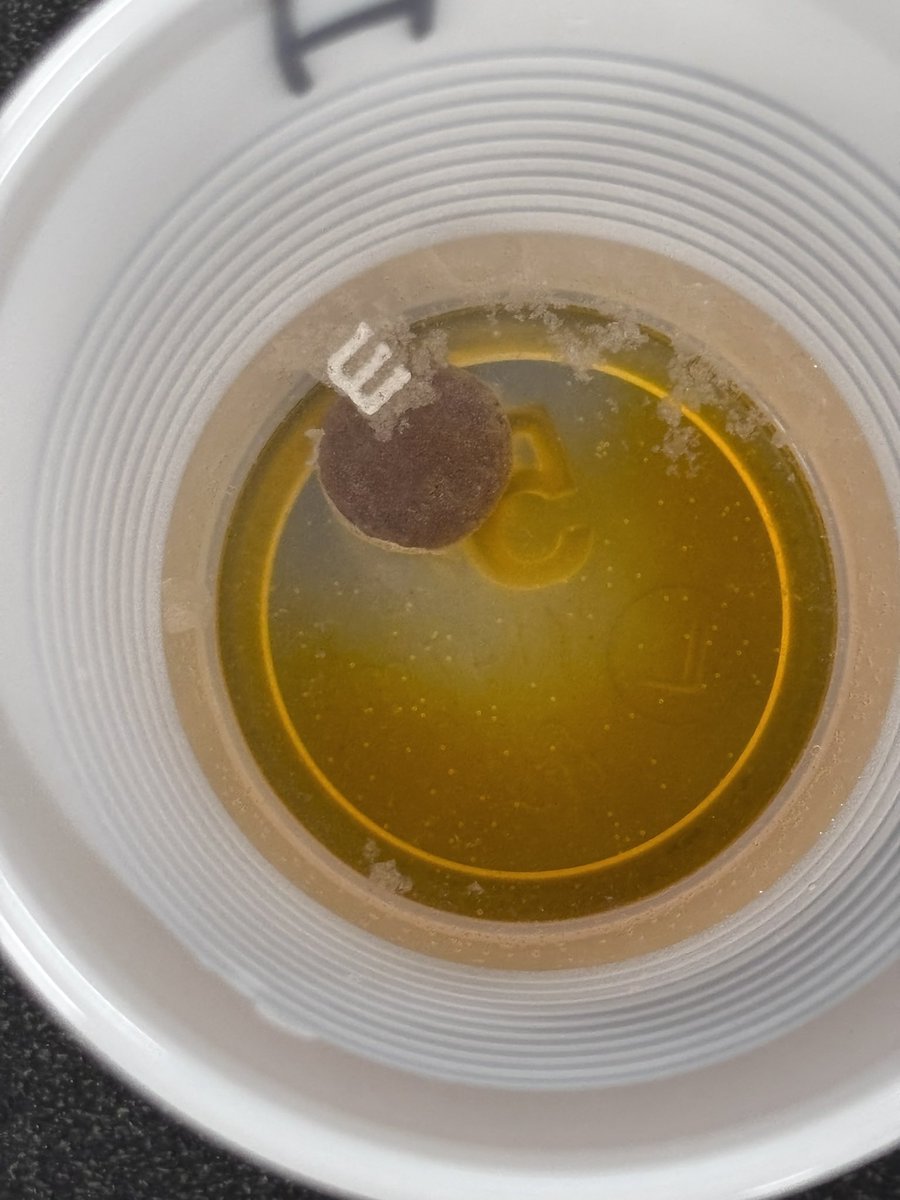 ReneeLWhite5's tweet image. Chchchanges….. Ss had fun with an M&amp;amp;M phase change lab.

#matter #phasechanges #middleschool #science @FuquayVarinaMS