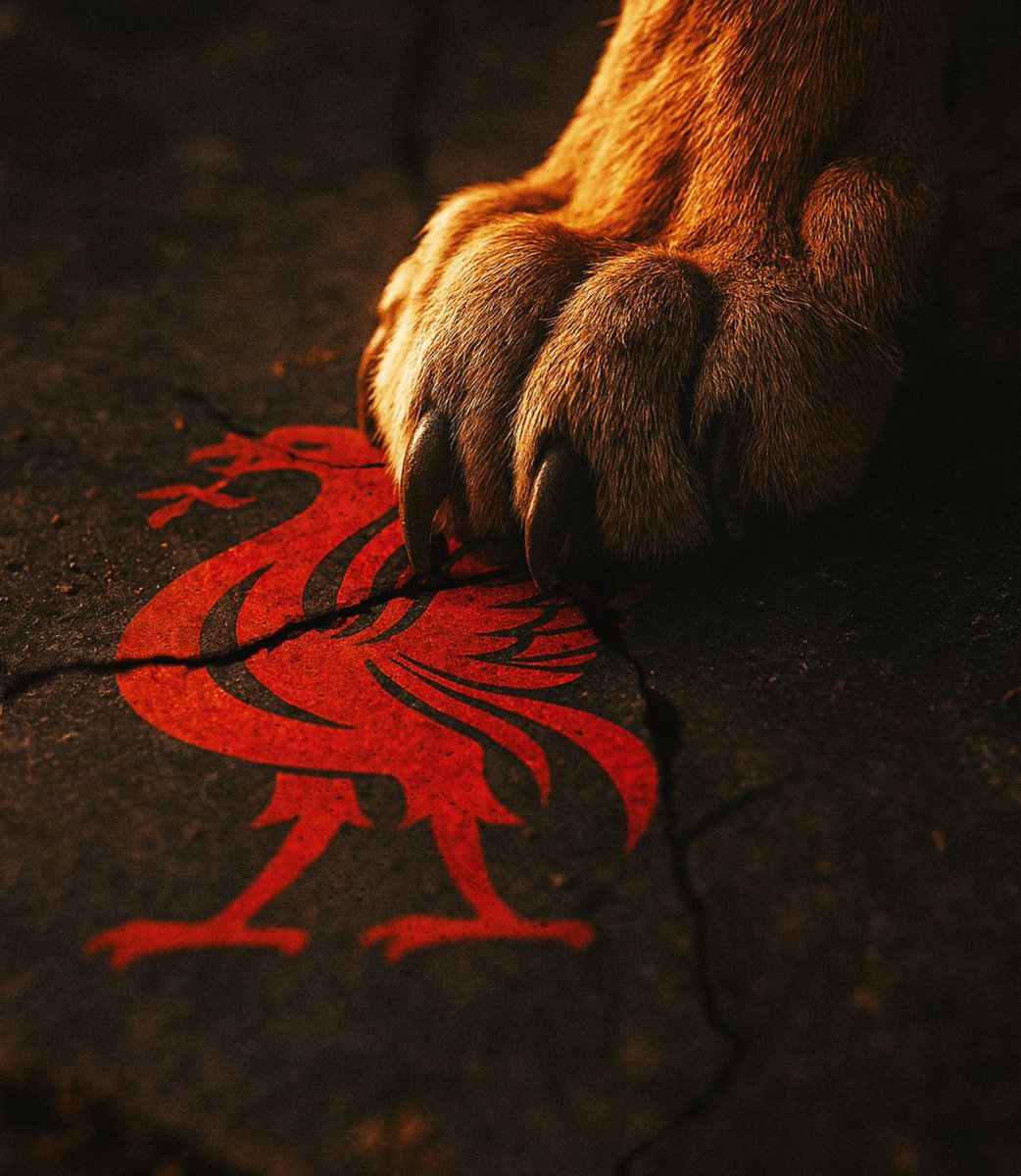 Welcome too hell!!🦁
🔥🔥🔥🔥🔥🔥🔥

#Galatasaray #ramspark Osimhen
Lemina  Galatasaray-Liverpool 
#GSvLIV #SampiyonlarLigi