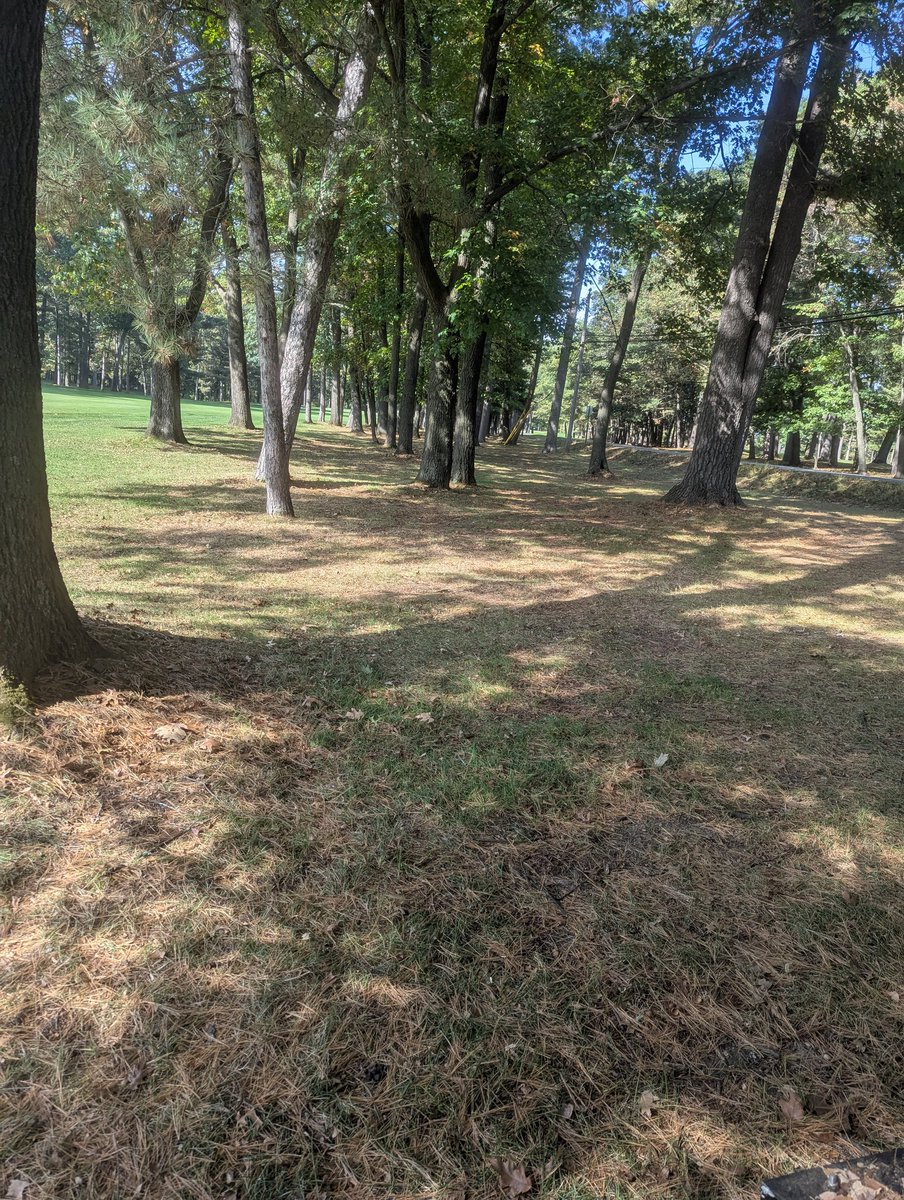 SkiRunLift's tweet image. A little mulch work today.. ahh, the before &amp;amp; after. Then, a good job thumbs up selfie 🤪😁
#Wisconsin #golfcourse #fall