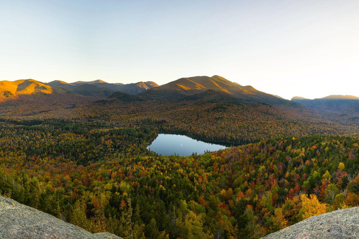 Joshua Intini tweet media