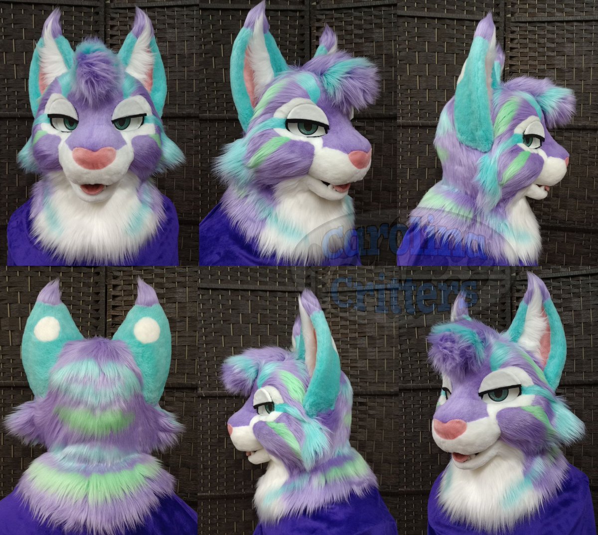 Have you ever thought to yourself. "Wow, I really need a blue, purple, and green bobcat." 

WELL DO WE HAVE THE SUIT FOR YOU! 
Come join the Carolina Critters Family!

Link in our bio.