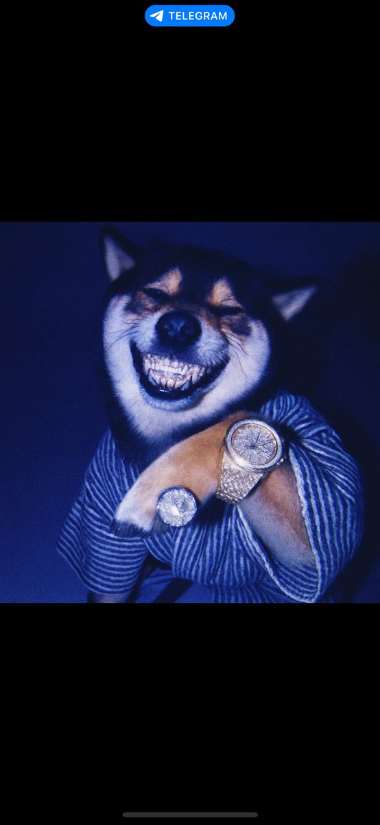 I was trying to tell you…I hope you listened. This is the number one dog on #ETH if you still don’t understand after this last week…god speed
#crypto #ALTSEASON #MANYU