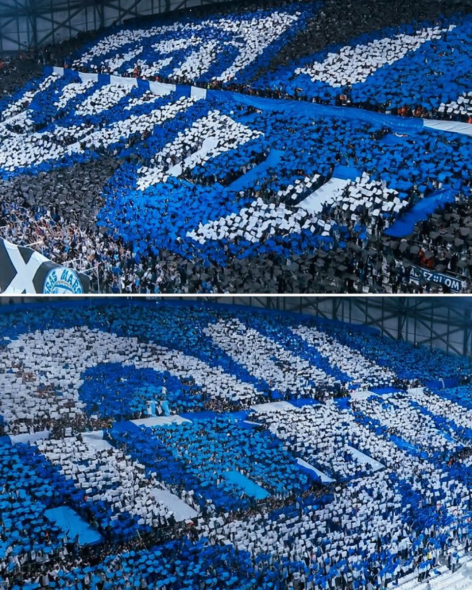 Embou_13's tweet image. ASSIEDS TOI ET ADMIRE 🔵⚪️ #OMAJAX