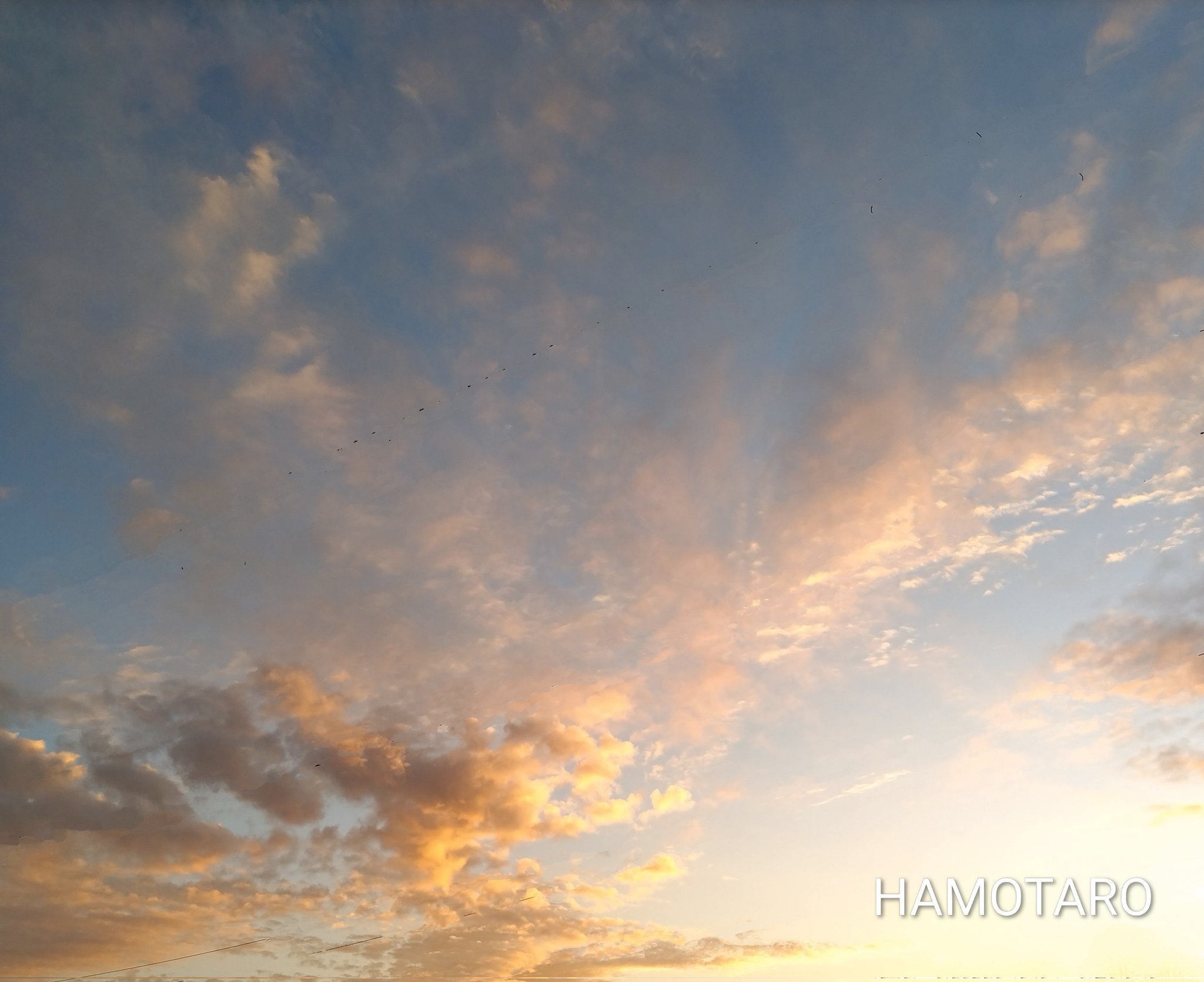 白雲の去来写真風 鱧太郎 on X: 