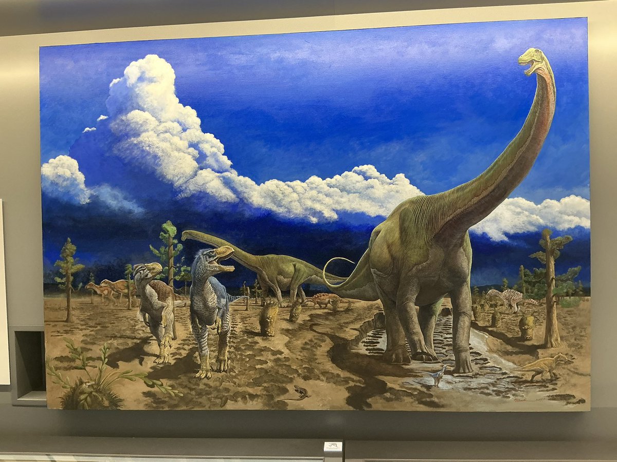 JHemiptera's tweet photo. 효고현 탐바공룡박물관에 전시된 오다 타카시(@studiocorvo) 교수님의 그림들. 1억 1,000만년 전에 살았던 목긴공룡 탐바티타니스의 복원도들이다. 지난 6월에 과학관에서 강연으로 복원 이야기를 들었는데, 이걸 실물로 볼 수 있는 날이 올 줄이야… https://t.co/3YLh0RHPSd