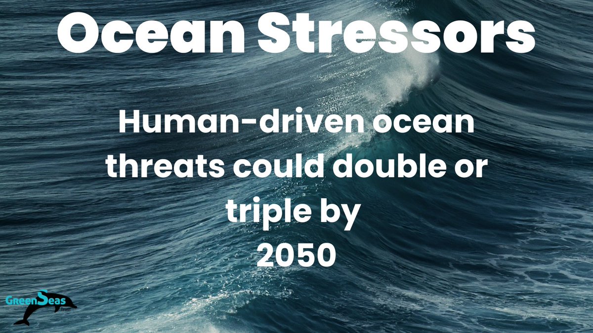 GreenseasOrg's tweet image. By 2050, climate change and activities such as industrial fishing and coastal development could double or triple ocean threats, risking seascapes and the wildlife they support. Urgent action is needed to protect these vital ecosystems and communities.

#OceanHealth #ClimateAction