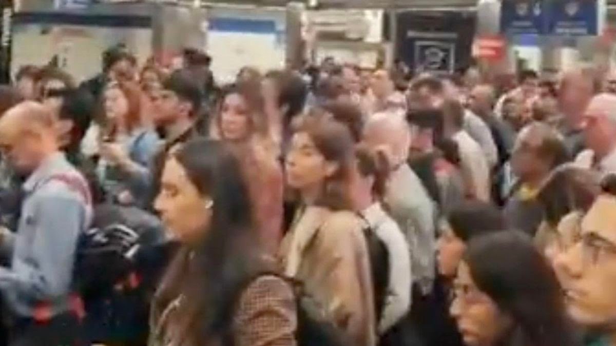 Ayuso contrata 120 empujadores para que los madrileños vayamos como borregos en el metro.

Si empujadores de empujar...Venga todos para dentro...

Está chica está perdiendo el norte.