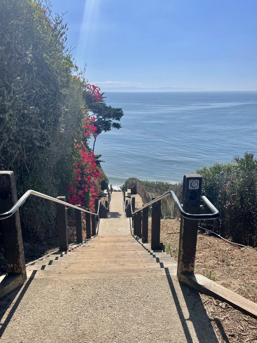 Brian Slattery tweet media