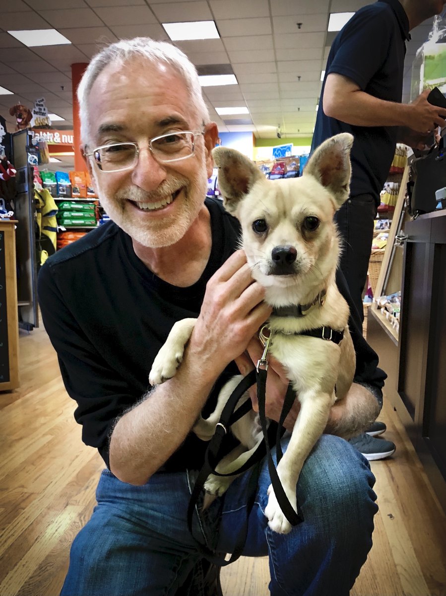 7 years ago today this little guy adopted me. Rescued me too! I’m so grateful he joined me on the crazy odyssey that is my life. Because he’s a rescue, today’s the only birthday I have for him. So Happy Birthday, Kyri…and thank you! (Photo: Day 1 back in 2018) #DogsLover #dogs