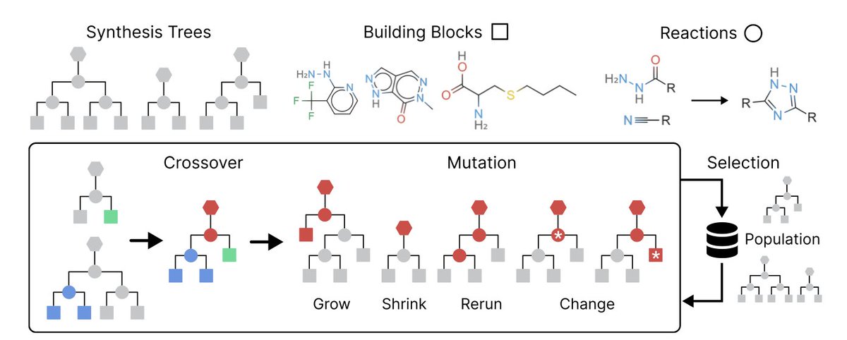 BiologyAIDaily's tweet image. A Genetic Algorithm for Navigating Synthesizable Molecular Spaces

1. This paper introduces SynGA, a genetic algorithm designed to operate directly over synthesis routes, ensuring that all generated molecules are synthesizable. This is a significant step forward in addressing the…