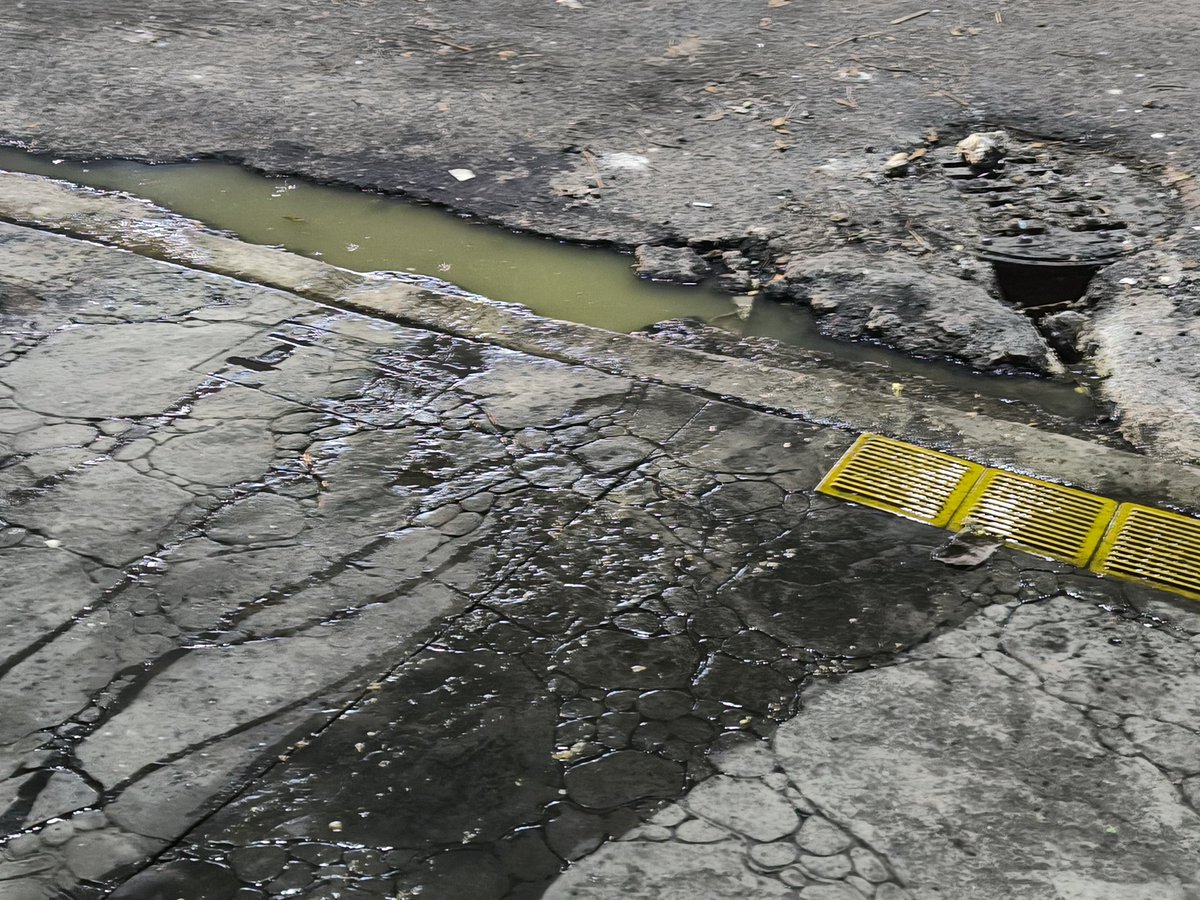 cp_pao's tweet photo. Se ha estado reportando salida de aguas negras en Calzada de los Tenorios 187, Rinconada Las Hadas, Tlalpan.
Hace más de una semana con el problema y no ha habido respuesta.
@SGIRPC_CDMX @GobCDMX @SACMEX_DENUNCIA @TlalpanAl https://t.co/vN5c8vWb32