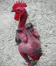 Liverpool
Before match  |  After match

#GSvLIV