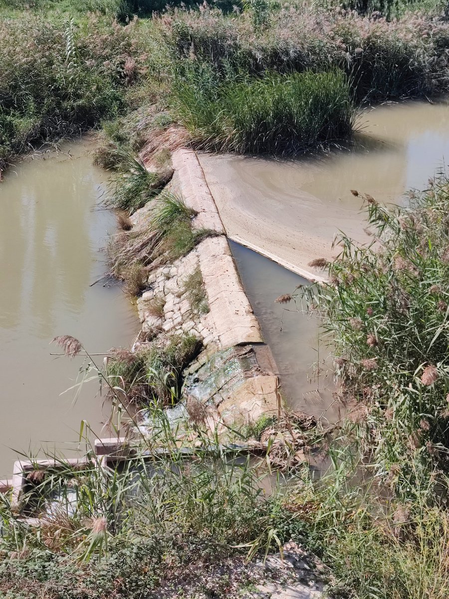 Daniel Macia Marti (@macia_daniel) on Twitter photo Així tenim l'aigua del riu #Anoia a la resclosa a #Igualada. A part del color de l'aigua, aquest travessar ens ajuda molt a veure com baixa. <a href="/RadioIgualada/">Ràdio Igualada • 103.2</a> <a href="/VeuAnoia/">La Veu de l'Anoia</a> Així tenim l'aigua del riu #Anoia a la resclosa a #Igualada. A part del color de l'aigua, aquest travessar ens ajuda molt a veure com baixa. <a href="/RadioIgualada/">Ràdio Igualada • 103.2</a> <a href="/VeuAnoia/">La Veu de l'Anoia</a>