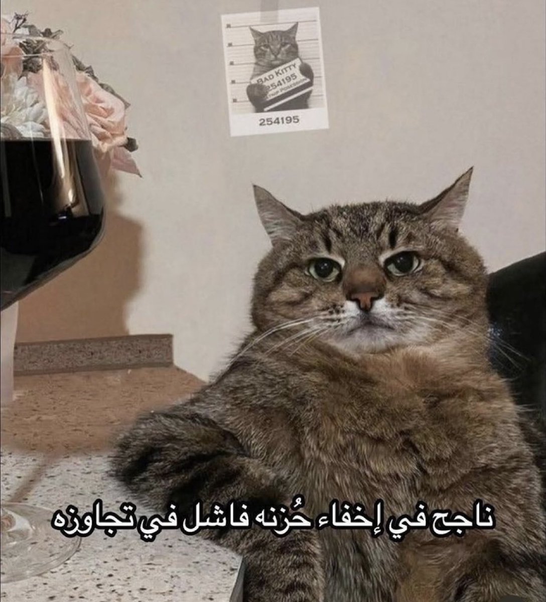 arabmemesss's tweet photo. https://t.co/r5WeOIyAOt