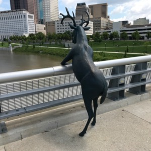 thinking about strawbs..