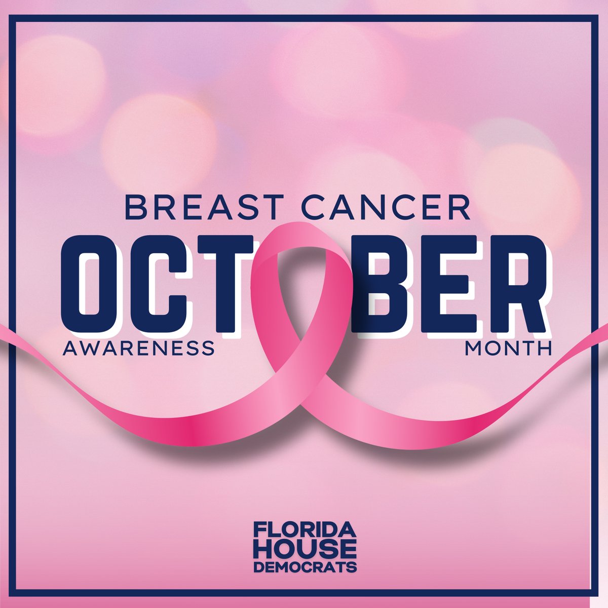October is Breast Cancer Awareness Month! Join us in celebrating survivors, supporting those fighting, and remembering loved ones we’ve lost.💗