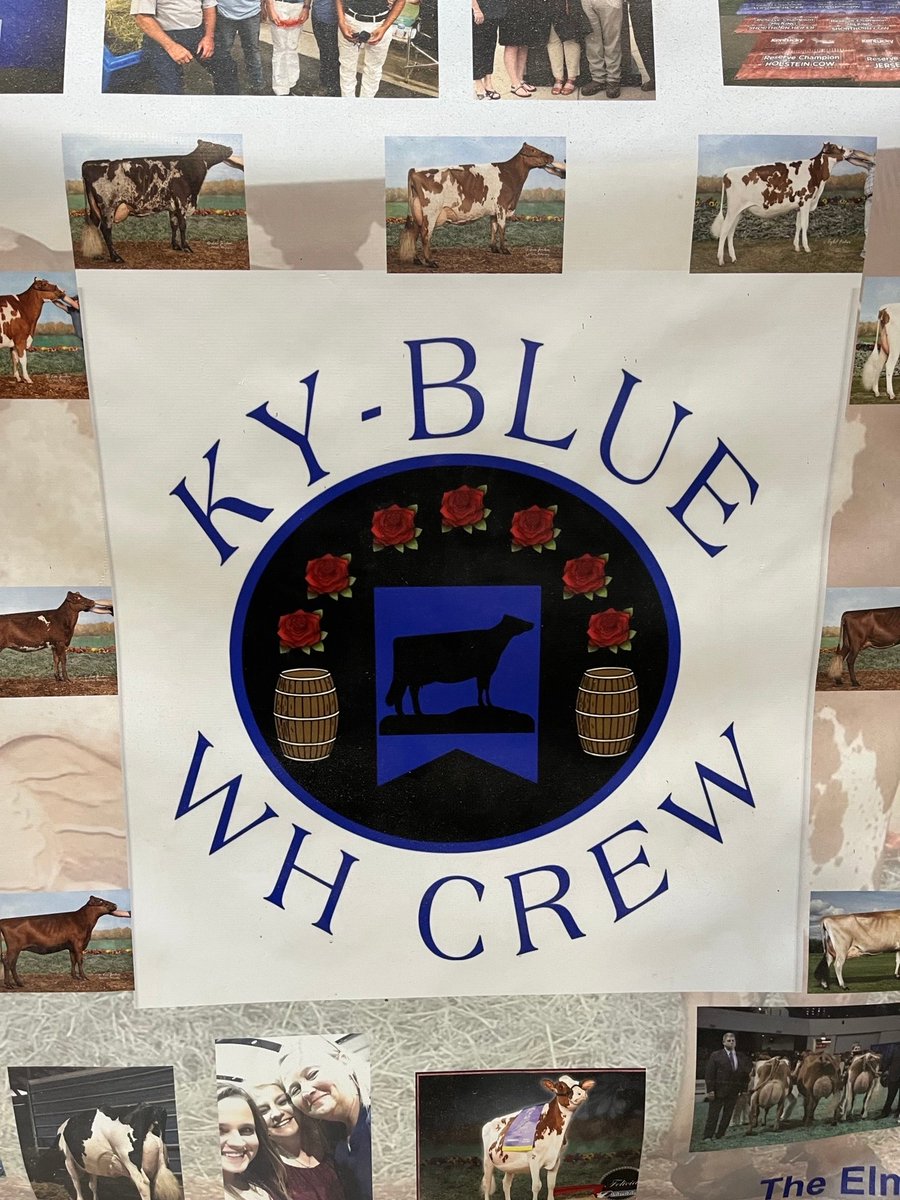 We're excited to have an 18" <a href="/CoreCoolSystems/">Core Cool Systems</a> Unit up &amp; running in Barn 2 at the World Dairy Expo with the KY Blue/WH Crew! 🐄 Before we arrived, the cows were feeling the heat but now they're cool, comfortable, &amp; content! 🙌
#sunnorth #WDE25 #corecool #cowcomfort