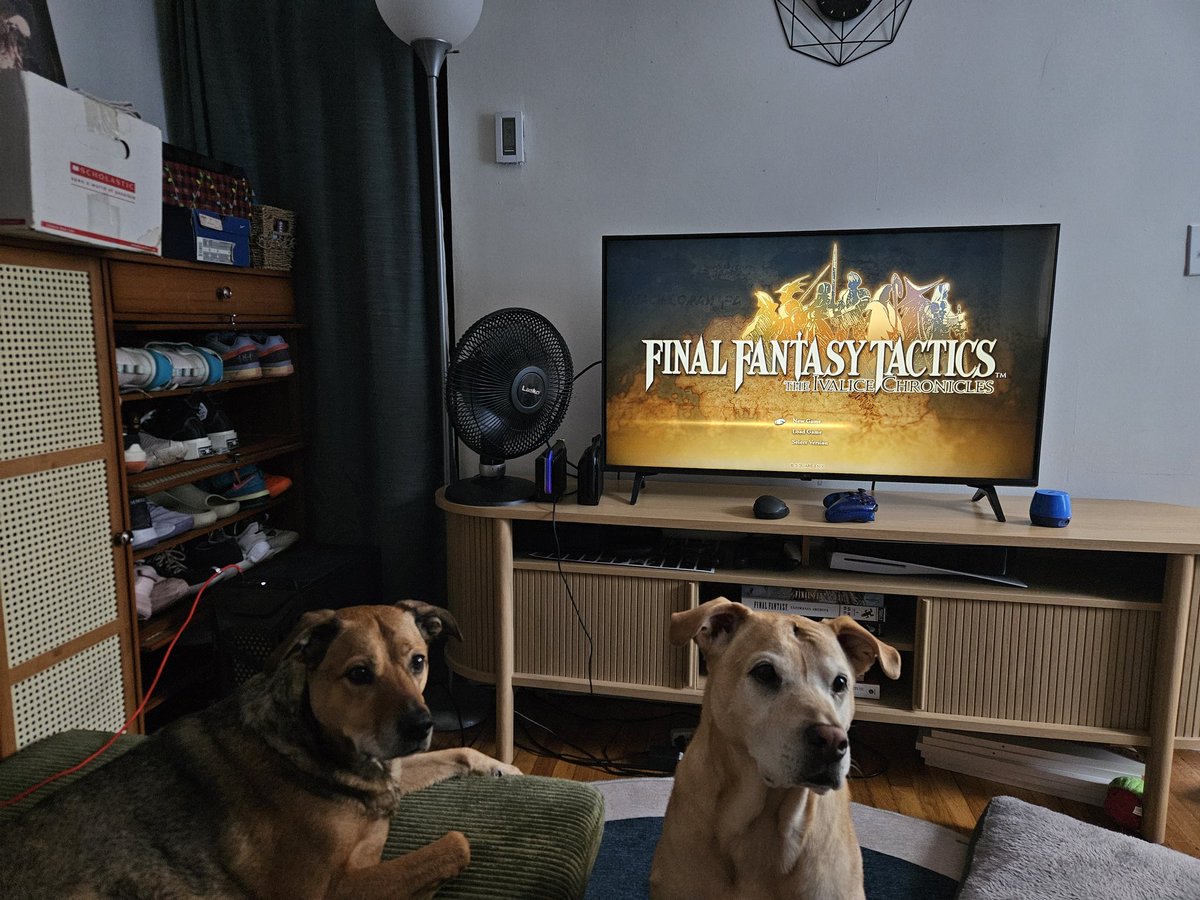 FullStream tweet media