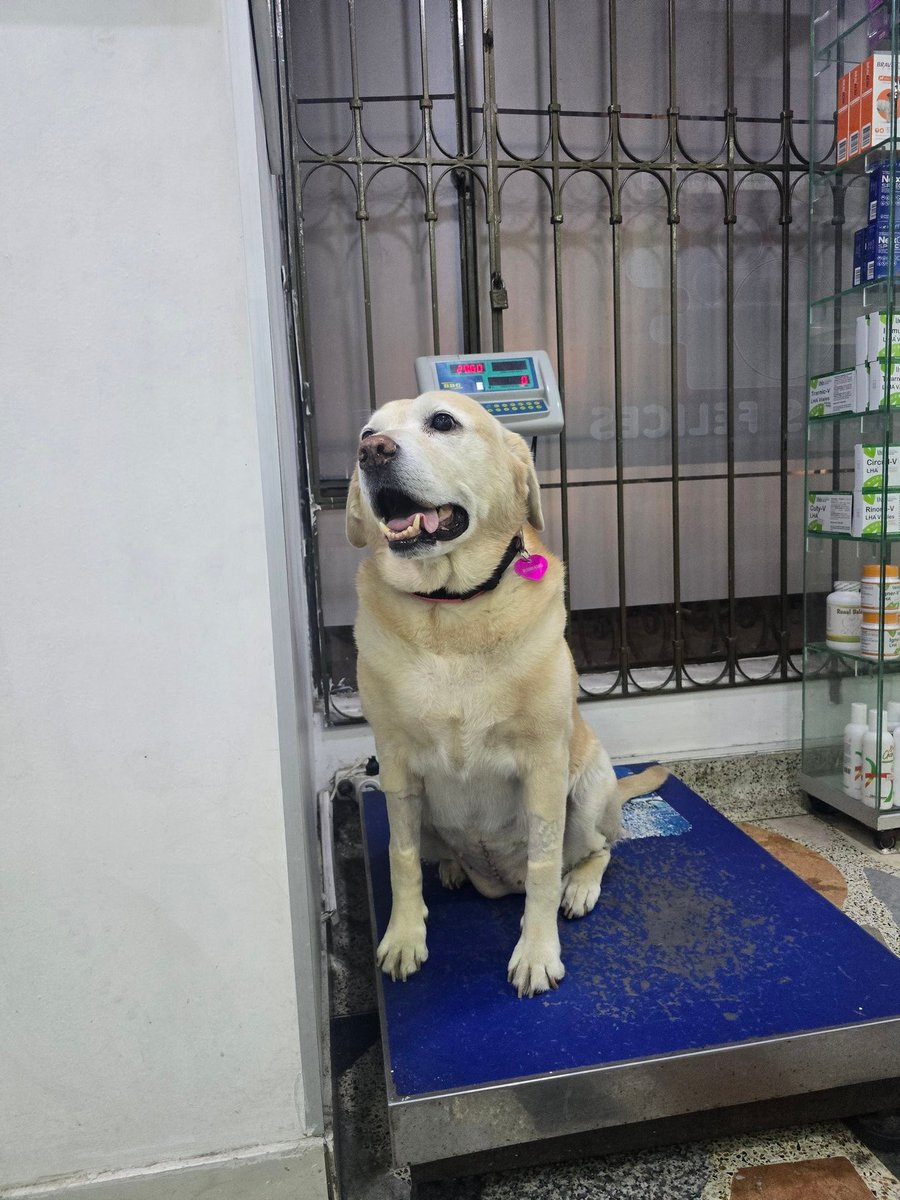 <a href="/VakiGlobal/">Vaki 🇨🇴 🇲🇽</a> <a href="/patrulleroefra/">Efrain Arce</a> <a href="/jnietoblanco/">Johnatan Nieto B.</a> <a href="/jairopulgarin/">Jairo Pulgarin</a> 
un empujonsito por favor 
vaki.co/es/vaki/apoyo-…