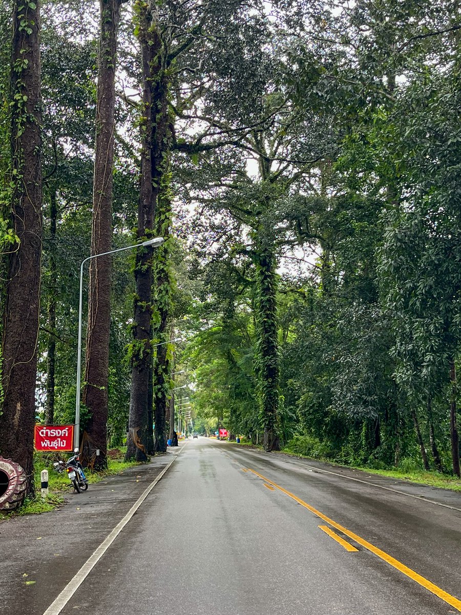 จันทบุรี |CHANTHABURI| tweet media
