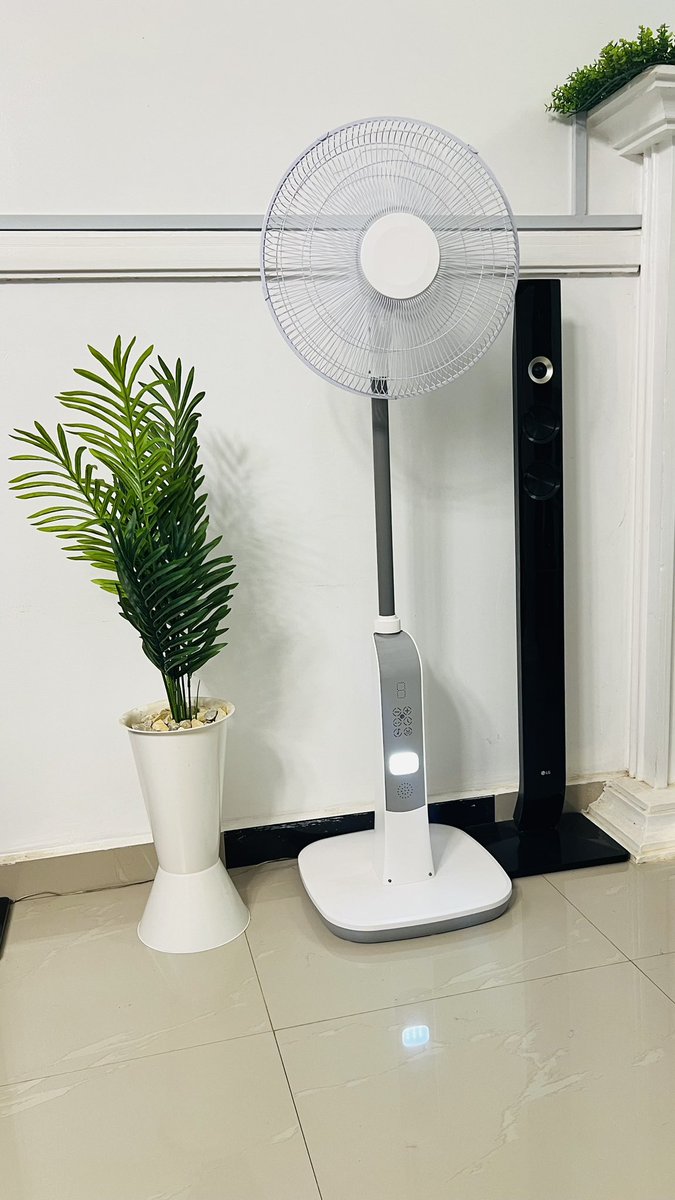 chijioke franklin tweet media