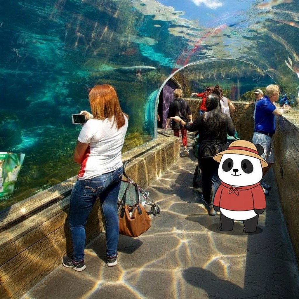 Pandupandas's tweet image. $PANDU is everywhere