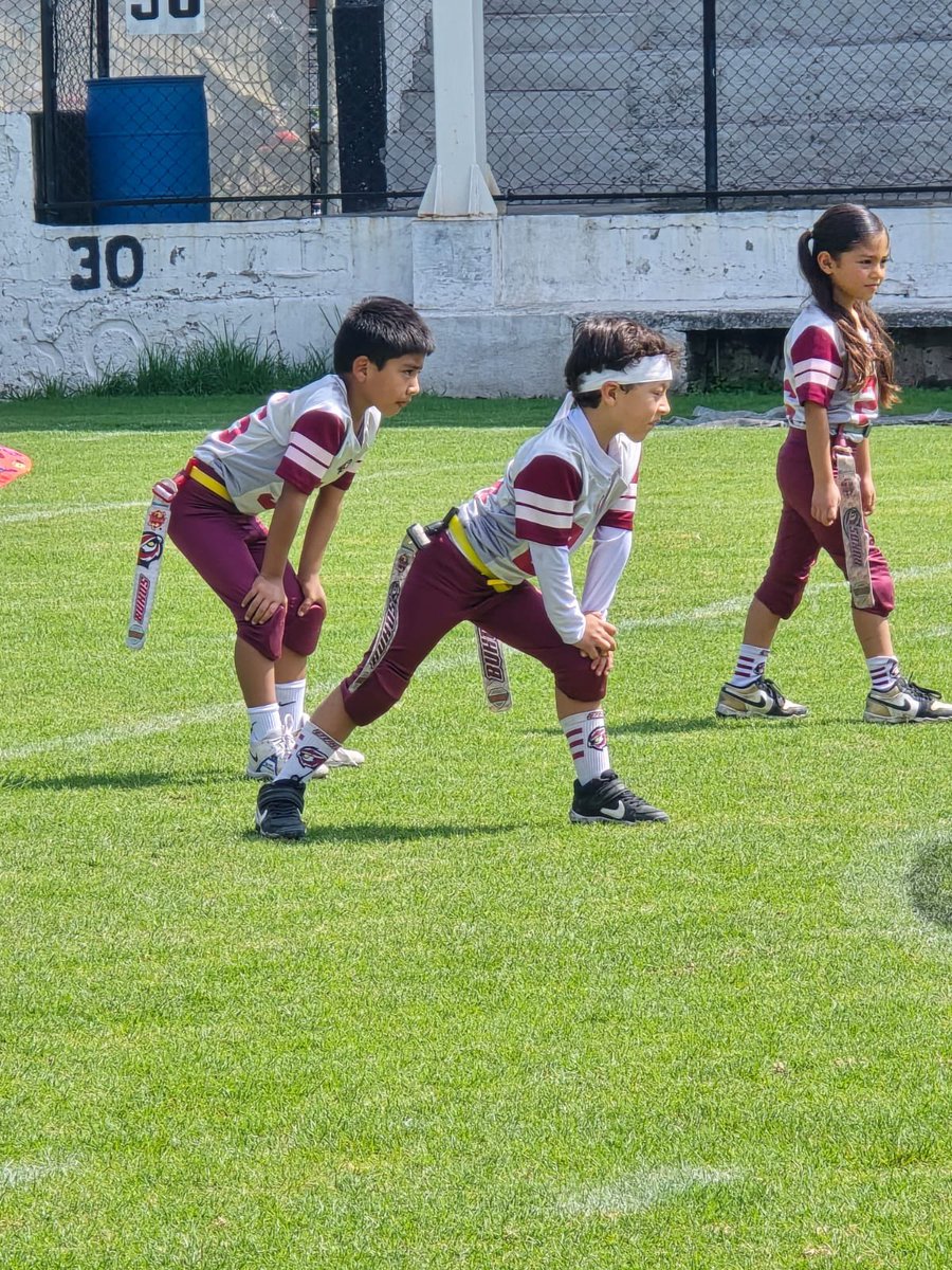 Búhos Azcapotzalco tweet media