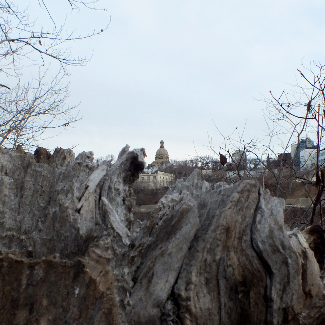 GM! CP-059 “Which Would Be Wilder? 1”
💎Art NFT
opensea.io/item/polygon/0…
🔐Collectibles toshiakiart.tk/art-nft-galler…
#conceptualart #conceptualphoto #contemporaryart  #polygonNFTs #NFT #NFTs #OpenSeaCollection