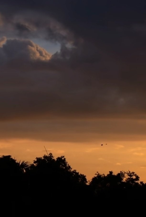 le123af's tweet image. Share your magical clouds⛅️