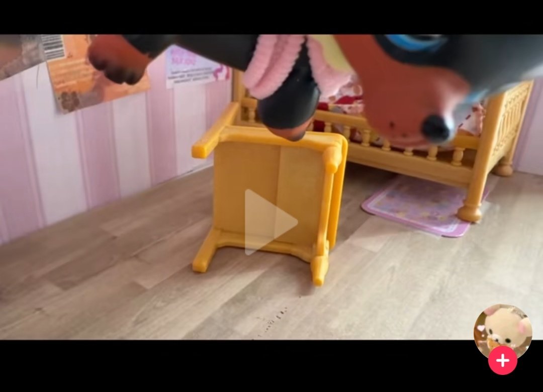 tiktok is a special place ❤️