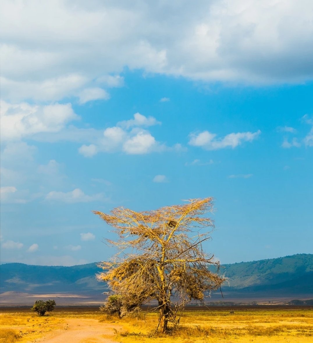 le123af's tweet image. Share your magical clouds⛅️