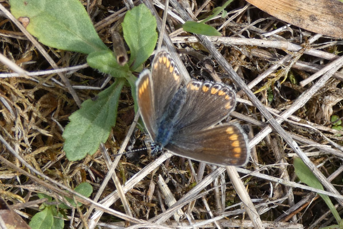 James Timms tweet media