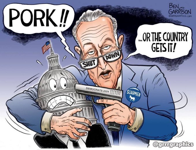 bcbradley58's tweet image. #SchumerShutdown2025