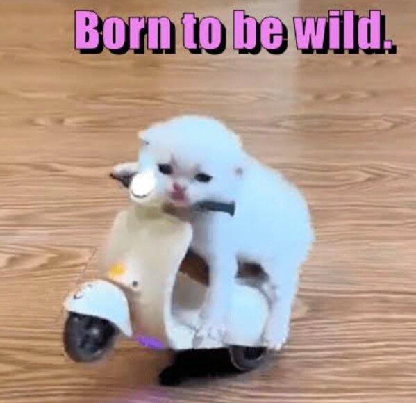 Sam 😇..why you following me, what you want 😉 tweet media