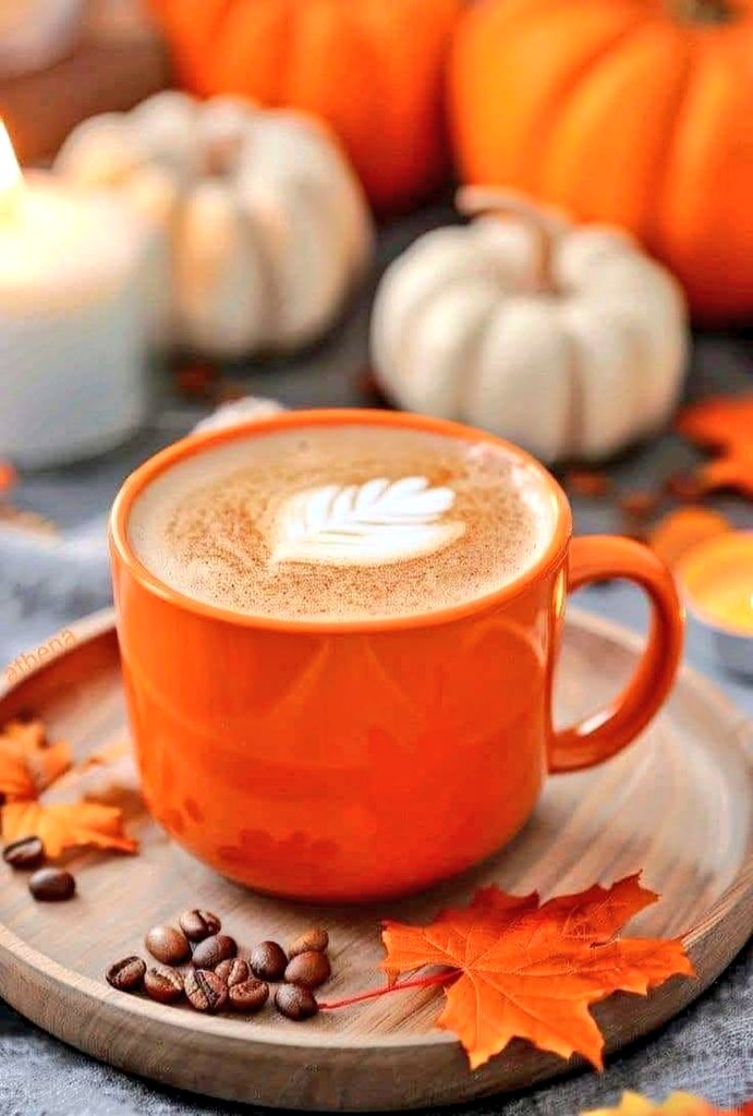 -

.
.
.

لا مُبرر لعدم الاحترام في العلاقات 
مريض نفسي تتعالج، 
قليل أدب تتربى ! 

.
.
.