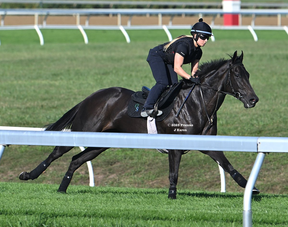 Frances J Karon tweet media