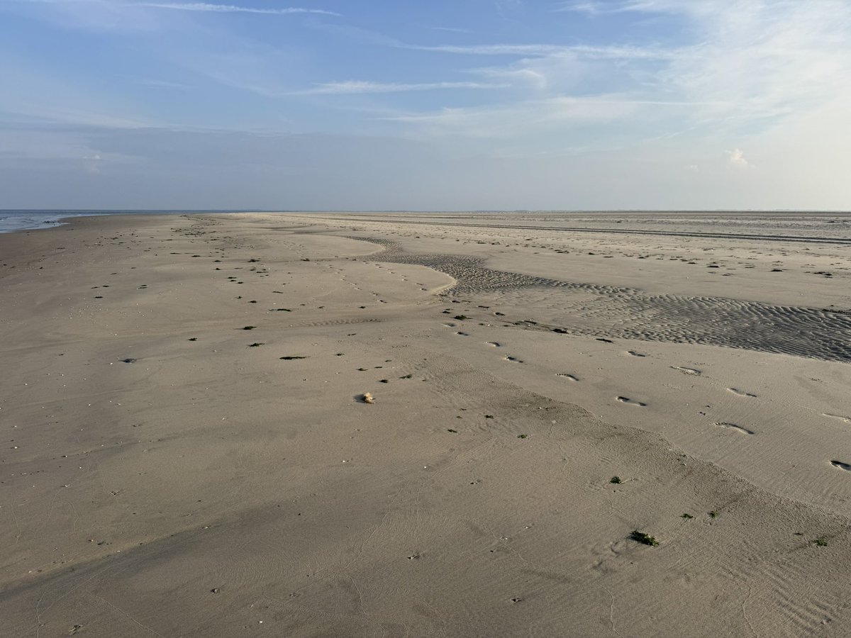 Bert van Dijk tweet media