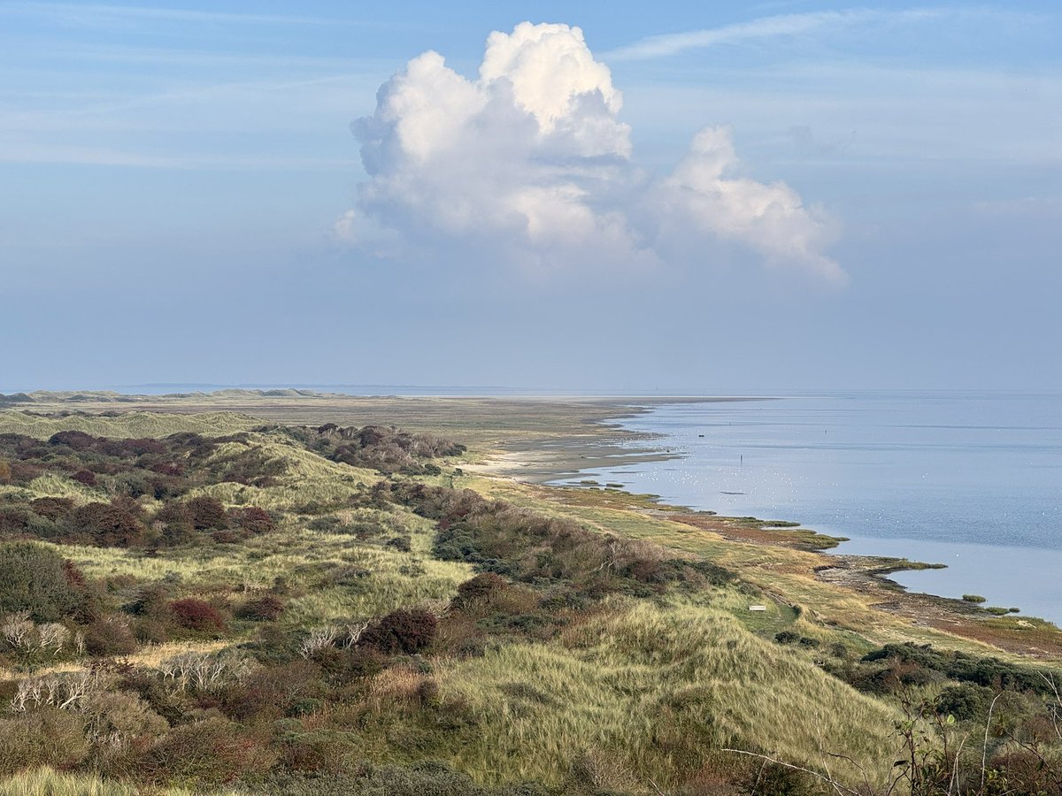 Alleen op de wereld. Zo voelt het als je op het uiterste oostelijke puntje van Ameland wandelt. Je kunt er een uur lopen zonder ook maar iemand te zien. Mijn favoriete plek in Nederland  #ameland #wadden