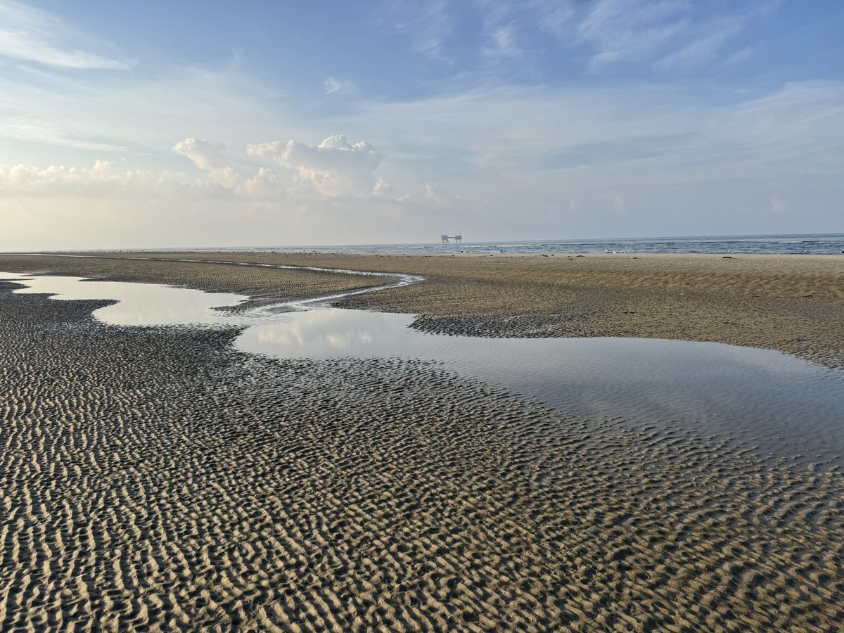 Bert van Dijk tweet media