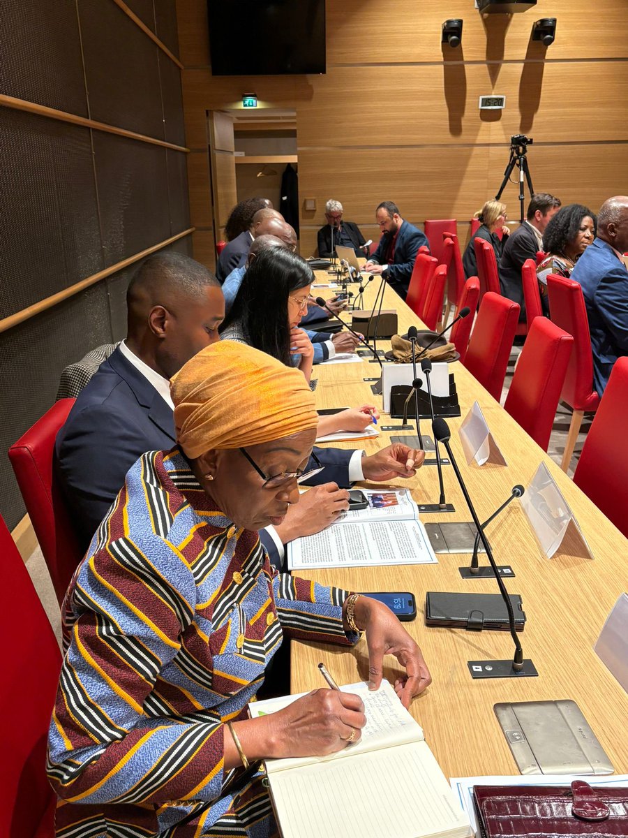 Nadège Abomangoli 🐢 tweet media