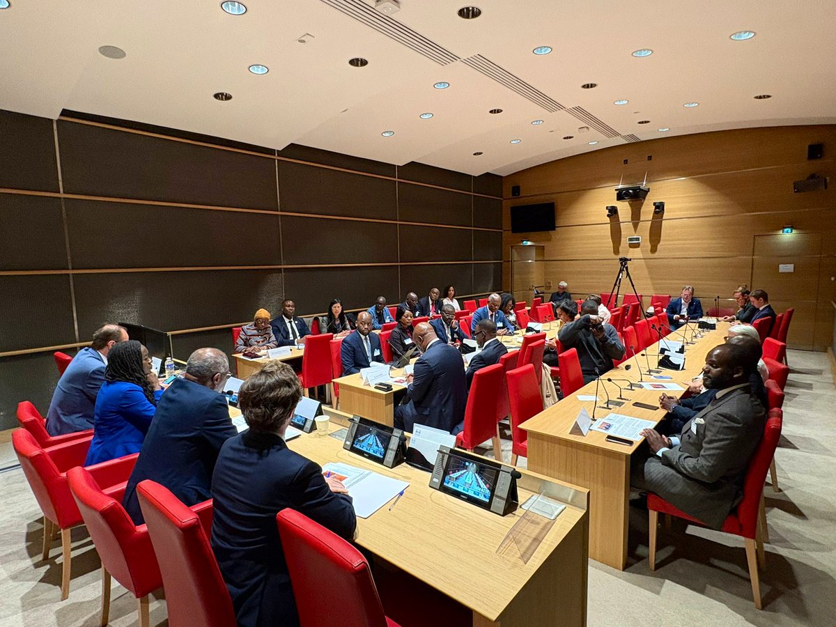 Nadège Abomangoli 🐢 tweet media