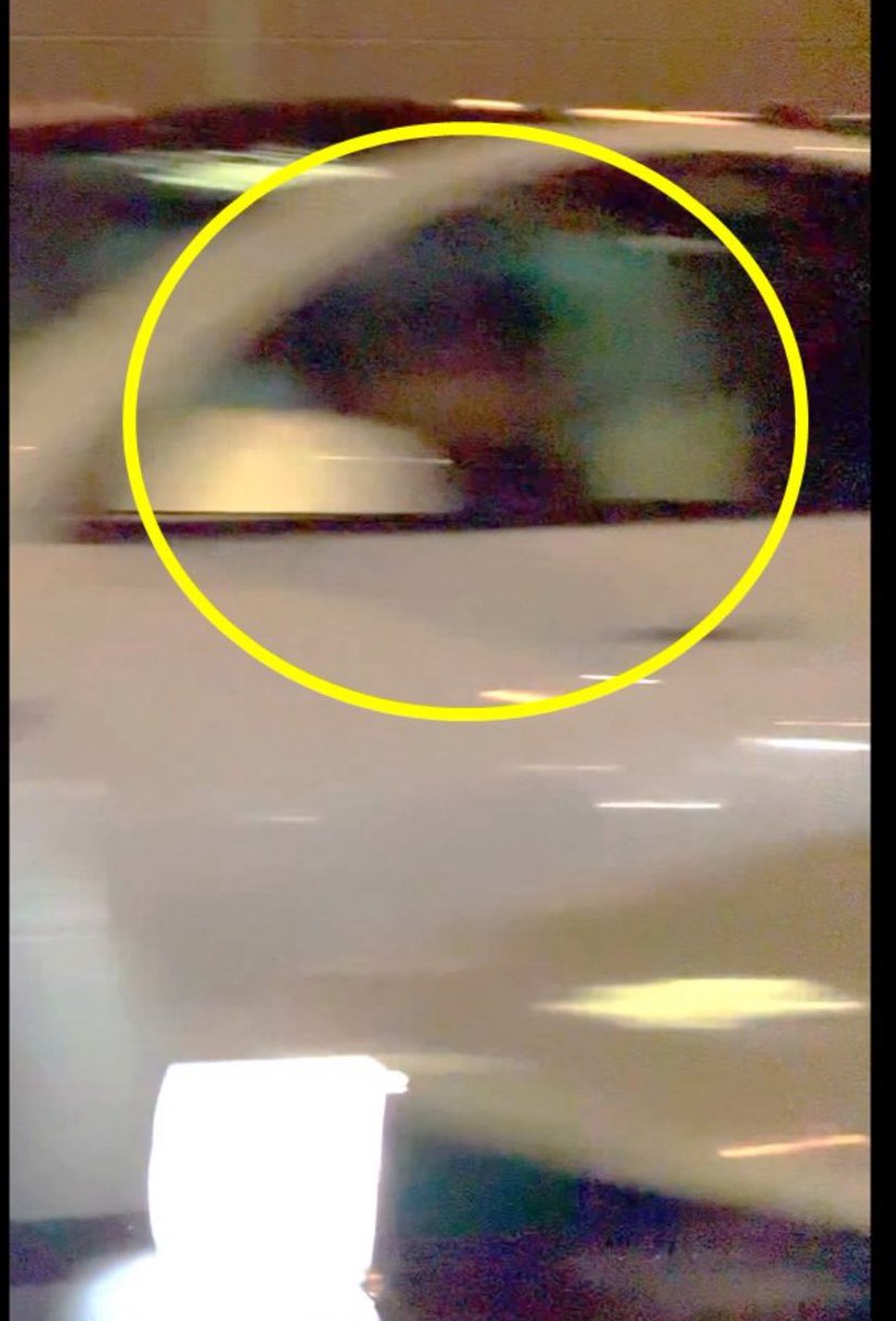 Calling a car driven by a human a “robotaxi” borders on a level of stupidity I can’t yet fathom. #shame $TSLA